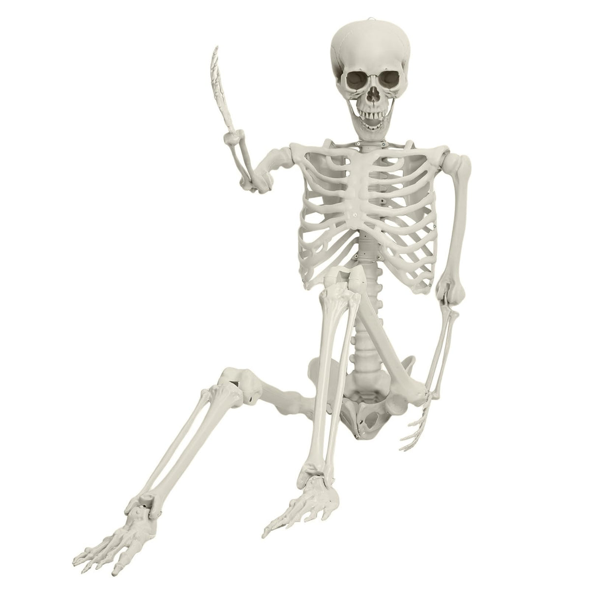 5.4ft White Posable Skeleton O3096