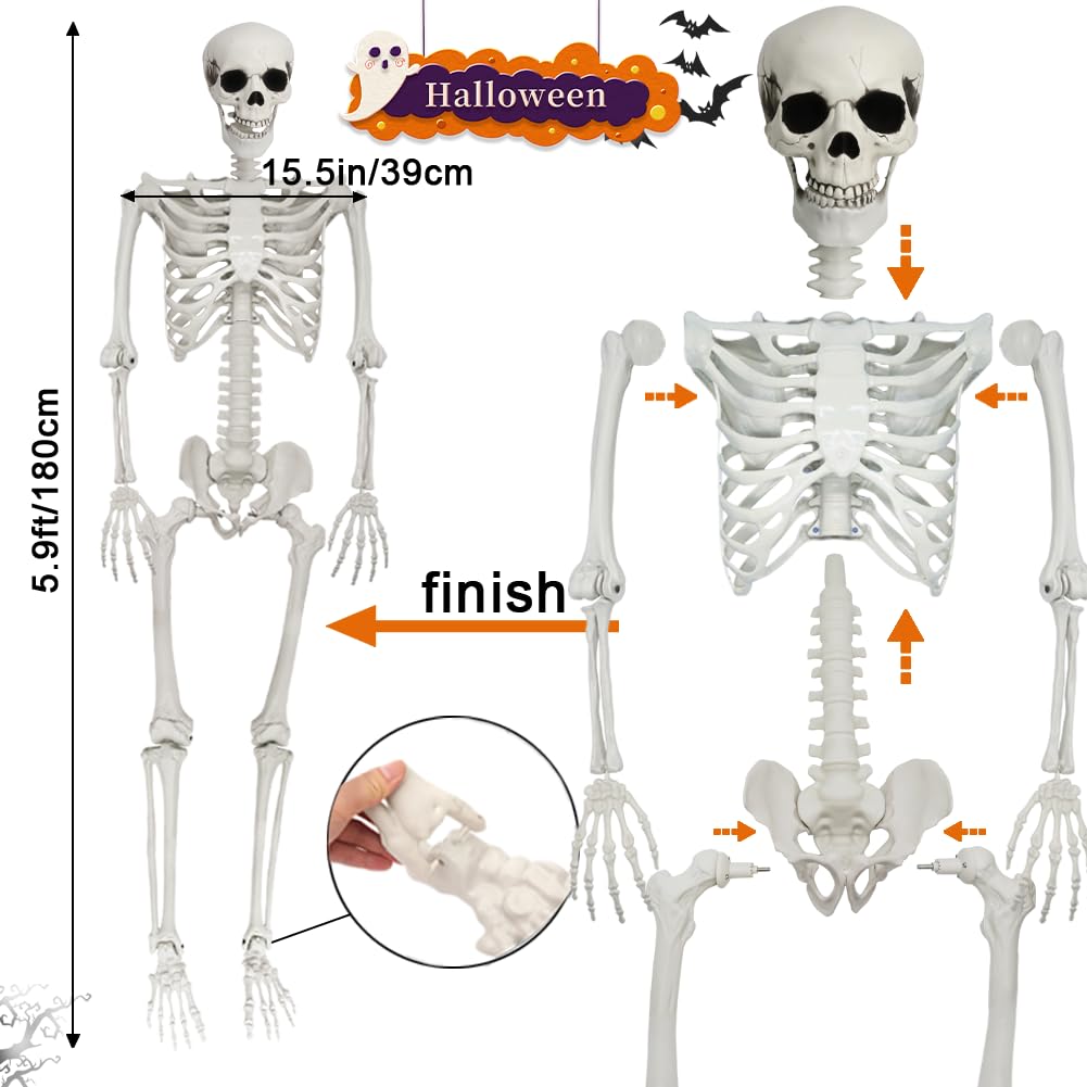 5.9FT Poseable Life Size Skeleton with Movable Joints H314