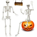 5.9FT Poseable Life Size Skeleton with Movable Joints H314