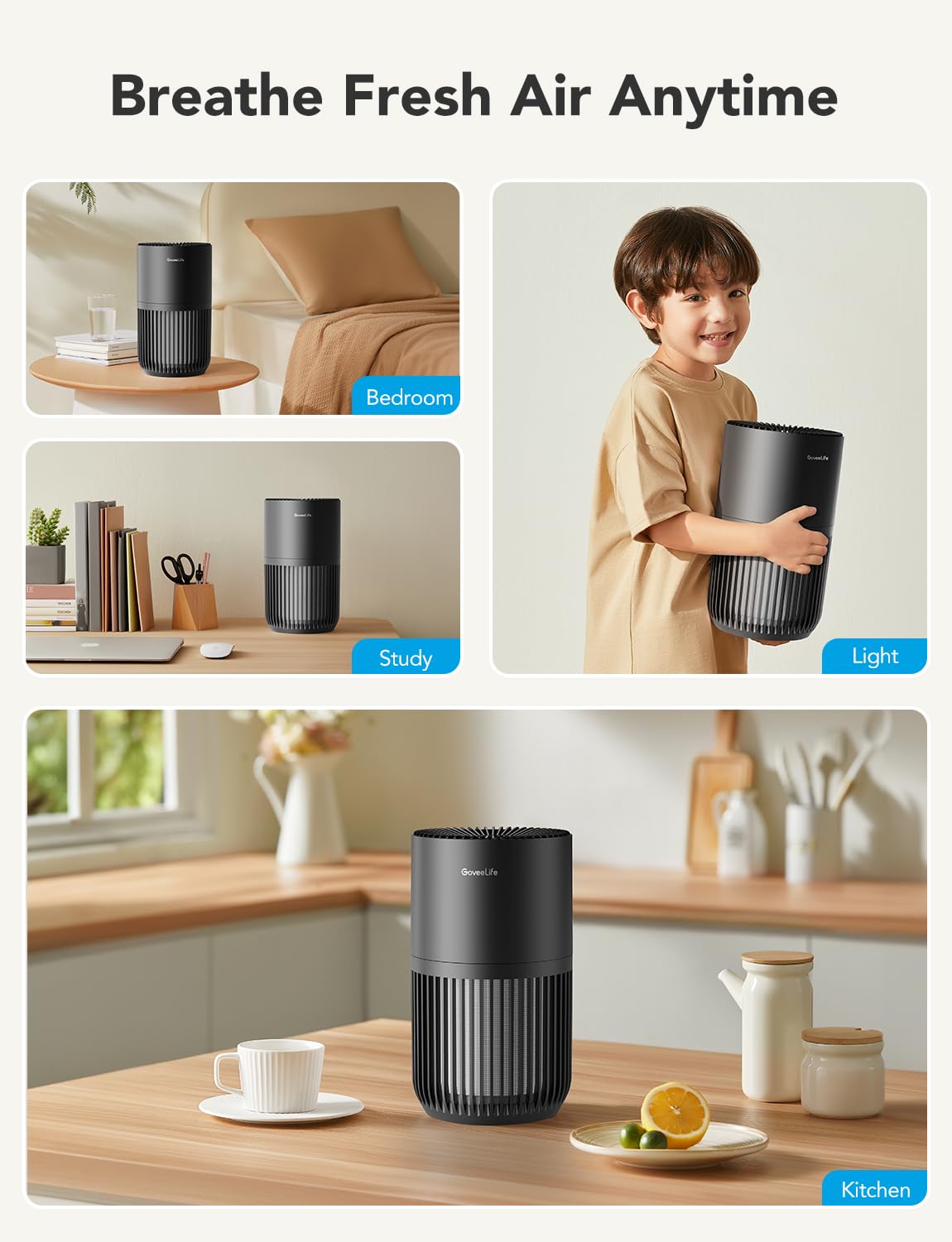 Dehumidifier with Mini Air Purifier R4864
