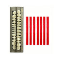 28 Pcs False Teeth Synthetic Resin Dentures Repair Kit Y705