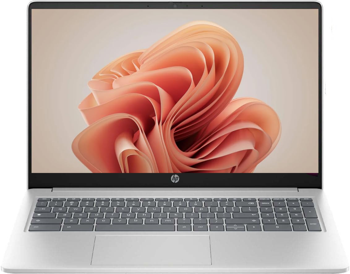 15.6in Silver Chromebook J109761