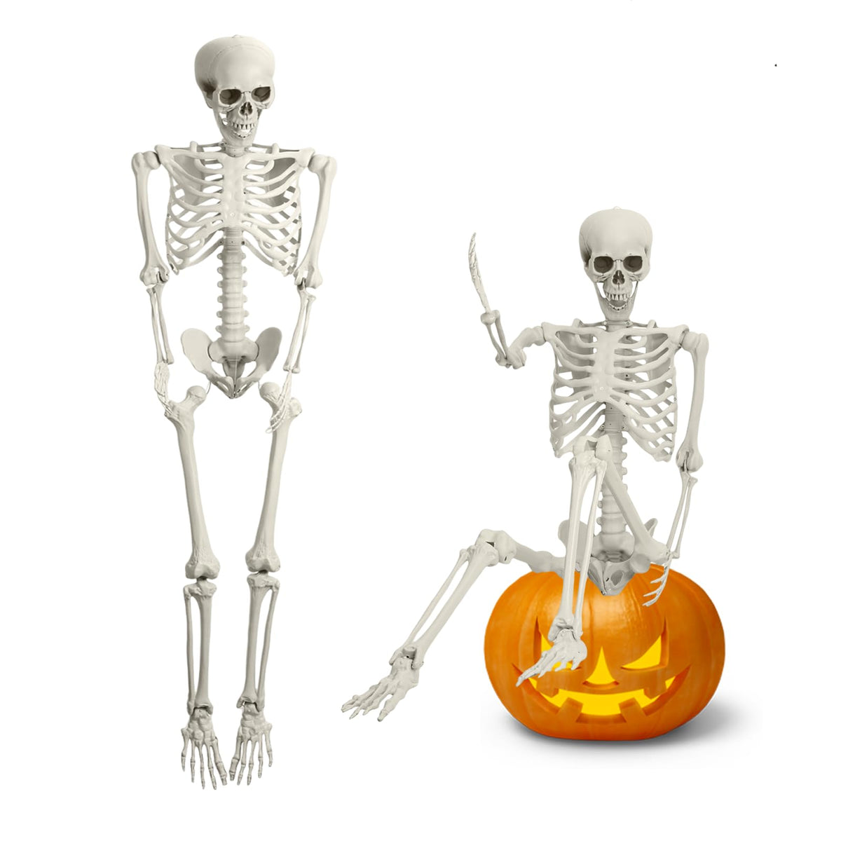 5.4FT Posable Full Body Skeleton with Movable Joints F847