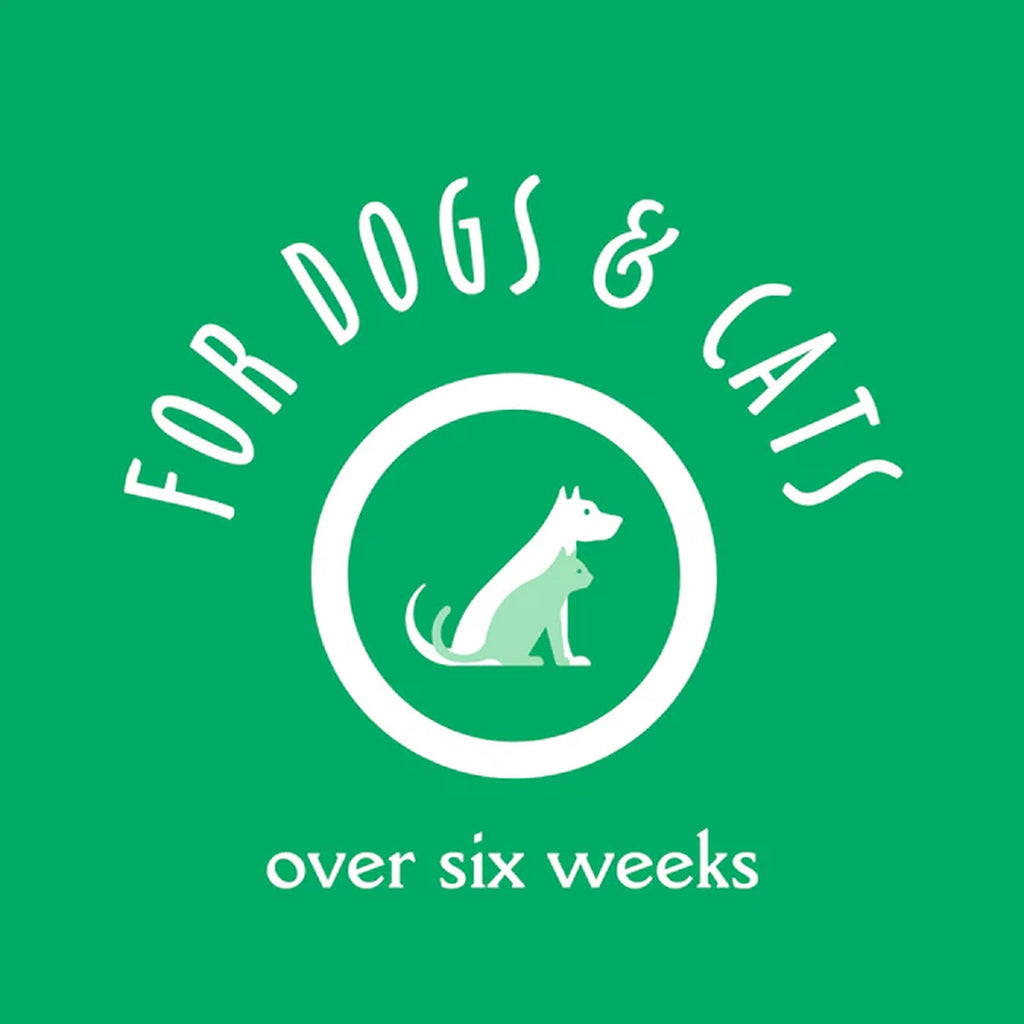 Oatmeal & Aloe Dog Shampoo, 16 fl oz Y8138
