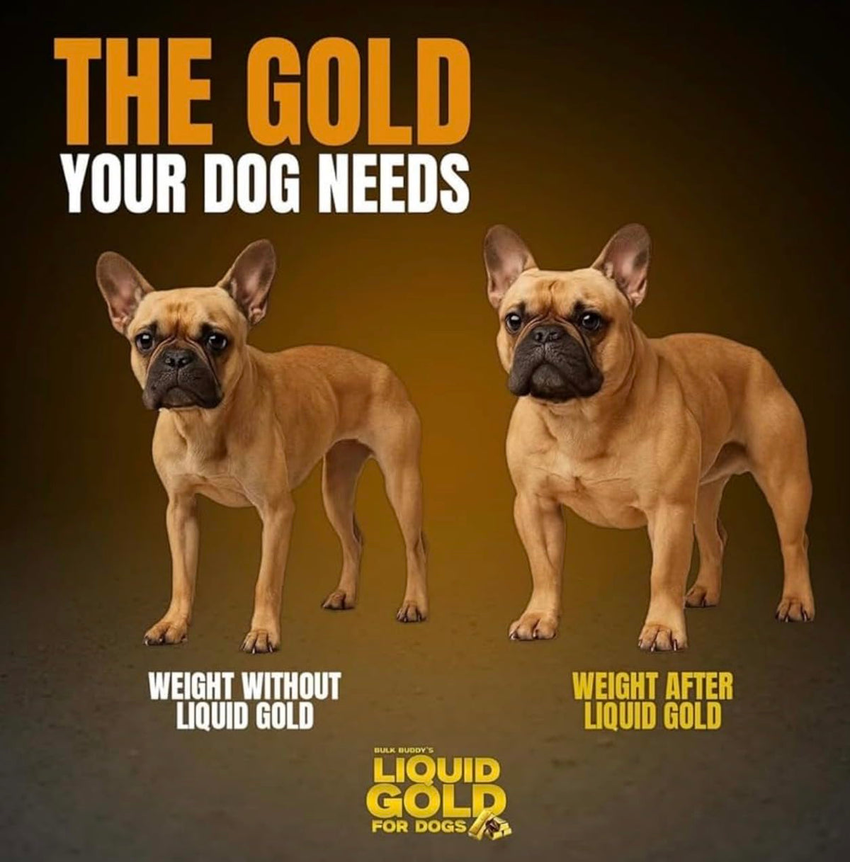 Dog Weight Gainer High-Calorie Nutritional Supplement 1GAL Q8752