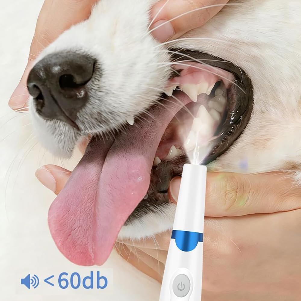 Pet Ultrasonic Tooth Cleaner with 3 Adjustable Modes T474108