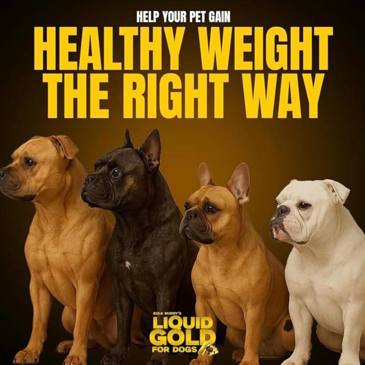 Dog Weight Gainer High-Calorie Nutritional Supplement 1GAL Q8752