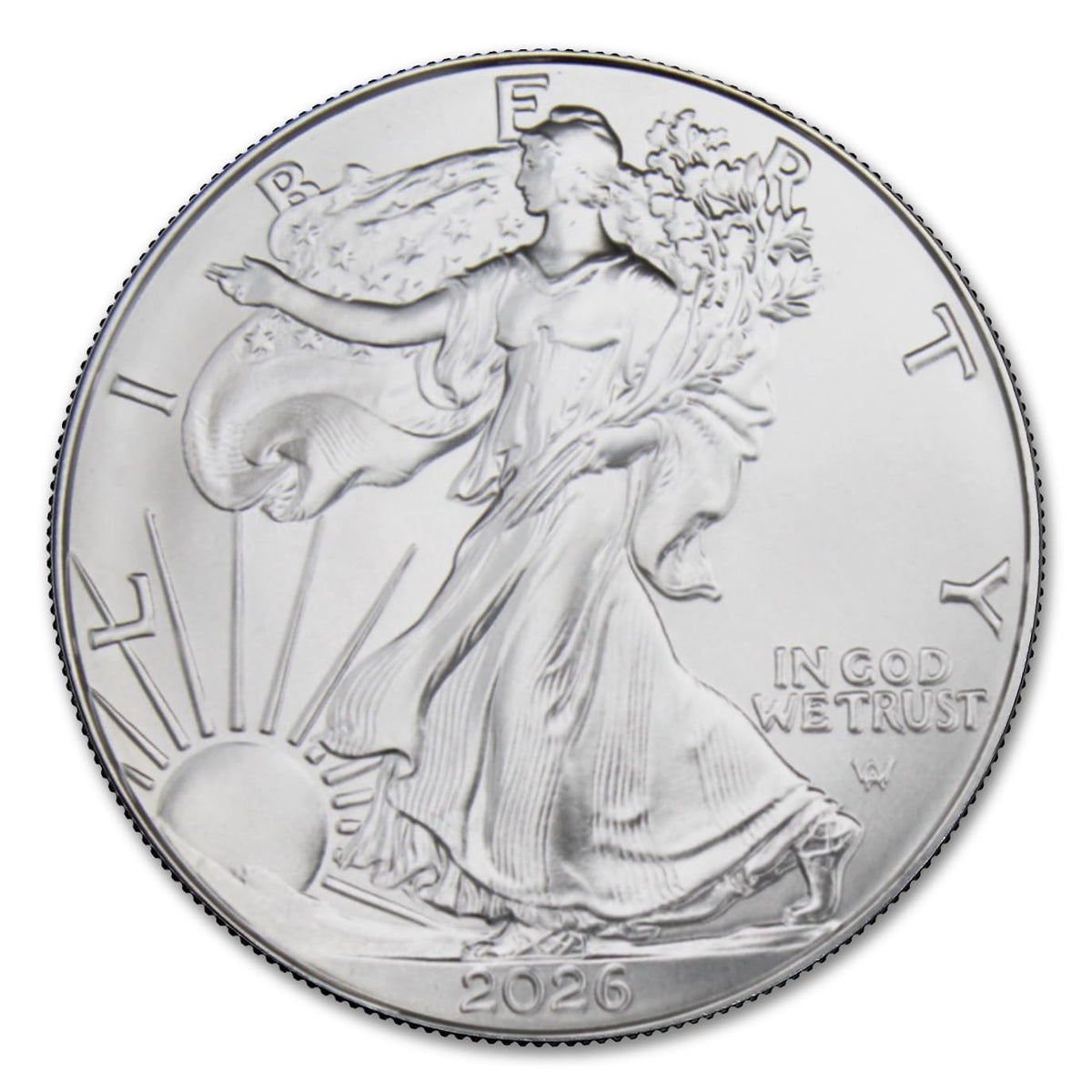 1 oz American Silver Eagle Coins L722030