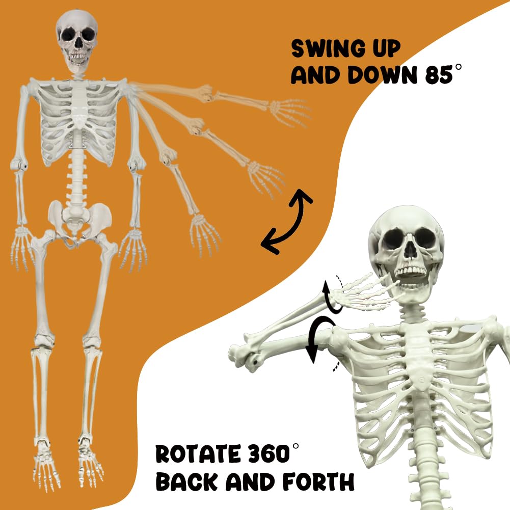 5.9FT Poseable Life Size Skeleton with Movable Joints H314