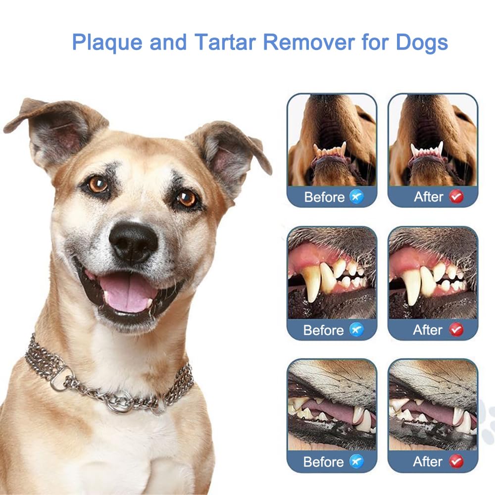Pet Ultrasonic Tooth Cleaner with 3 Adjustable Modes T474108