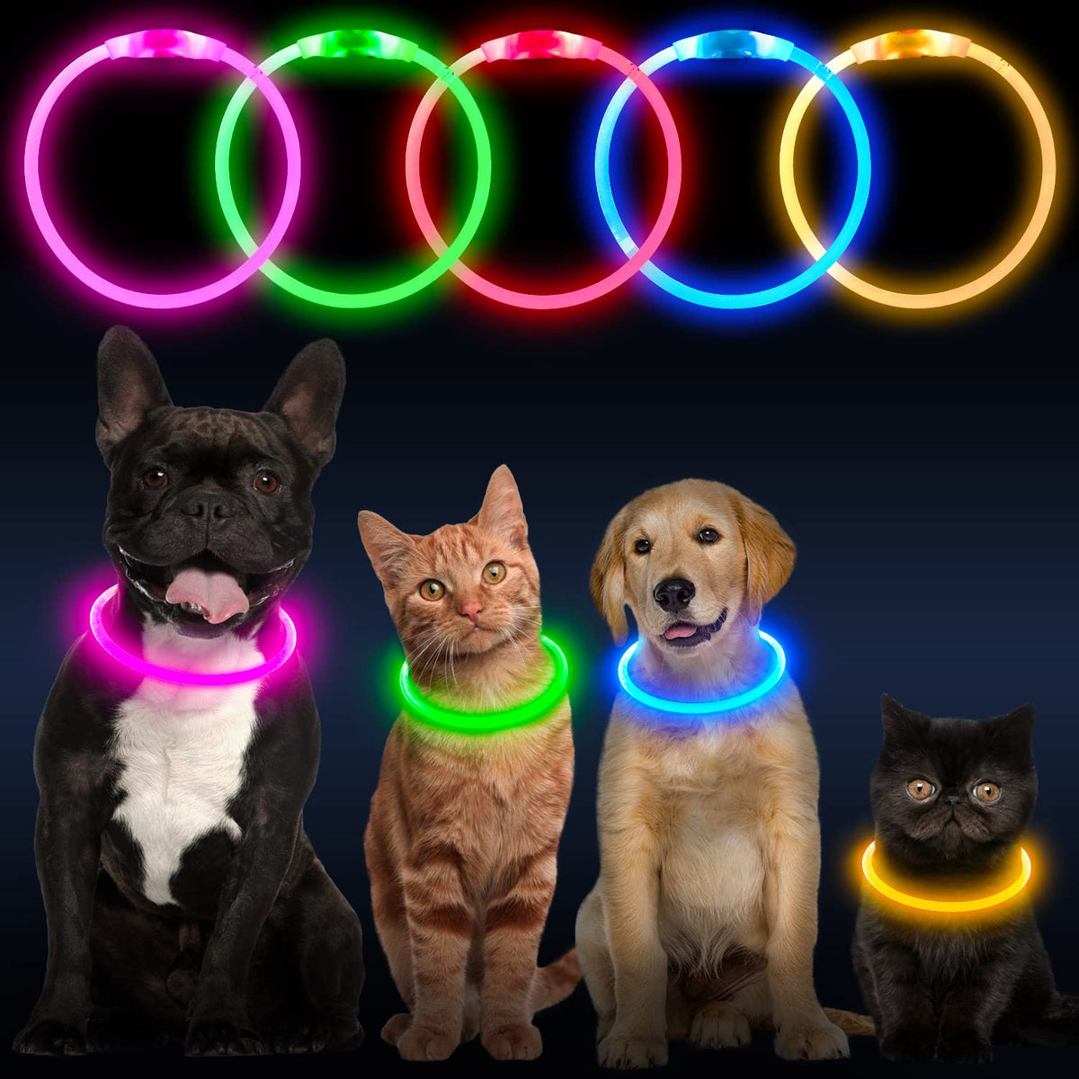 LED Dog Collar USB Rechargeable Green T93204