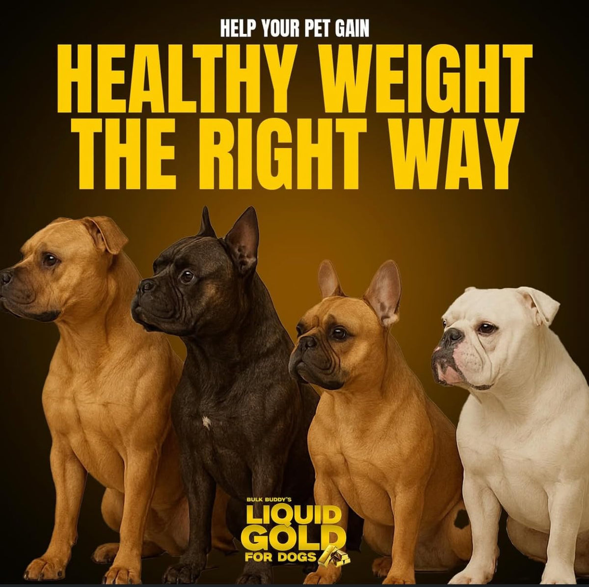 Dog Weight Gainer High-Calorie Nutritional Supplement 1GAL Q8752