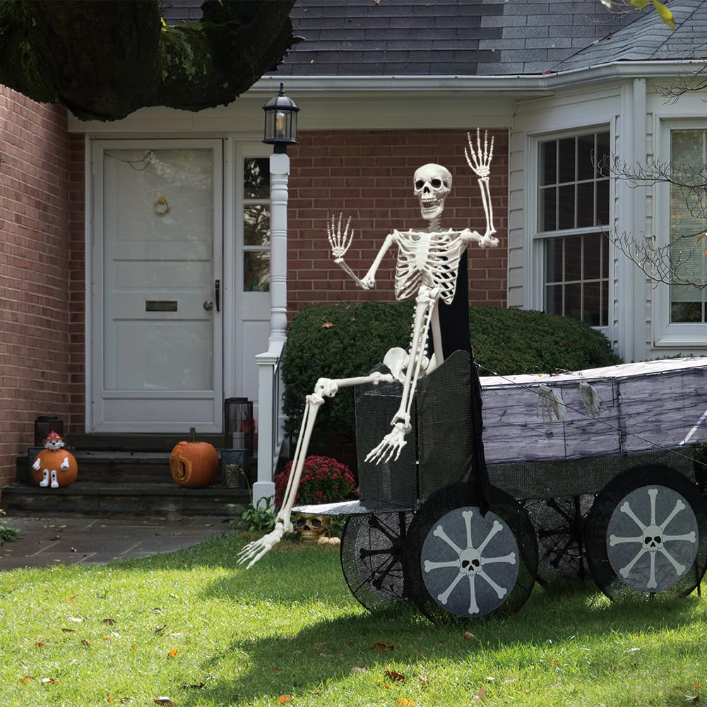 5.9FT Poseable Life Size Skeleton with Movable Joints H314