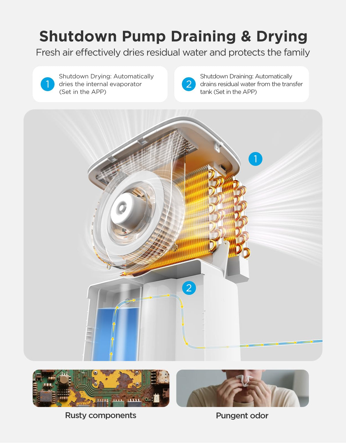 Dehumidifier with Mini Air Purifier R4864