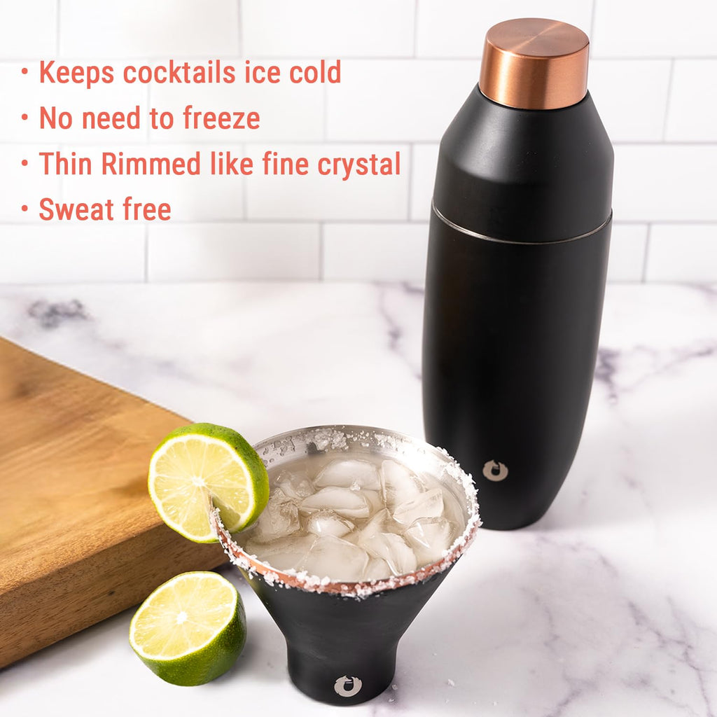 Vacuum Insulated Stainless Steel Martini Glass Set of 2, 8 oz E8509