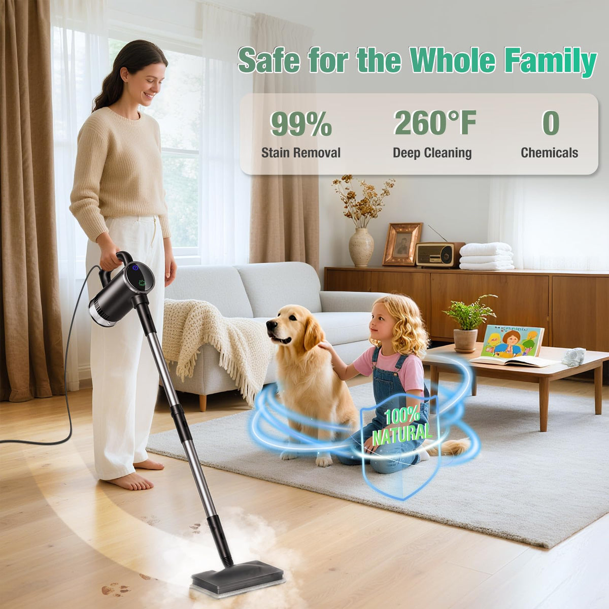 11-in-1 Detachable Handheld Steam Mop N13077