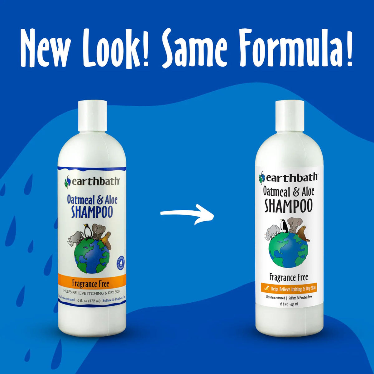 Oatmeal & Aloe Dog Shampoo, 16 fl oz Y8138
