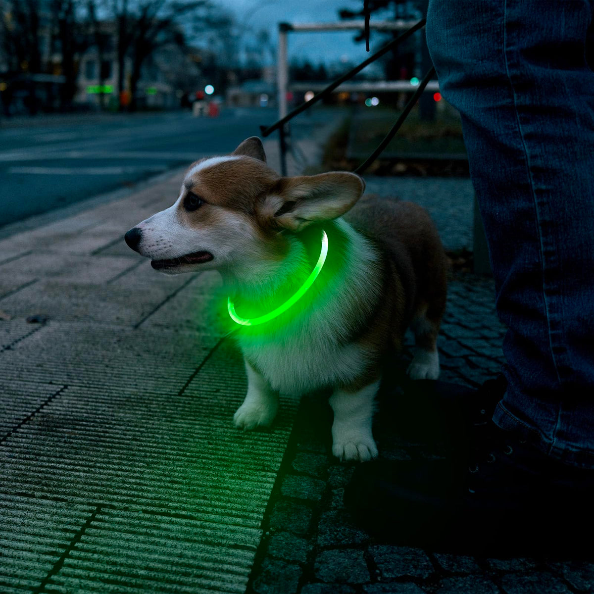 LED Dog Collar USB Rechargeable Green T93204
