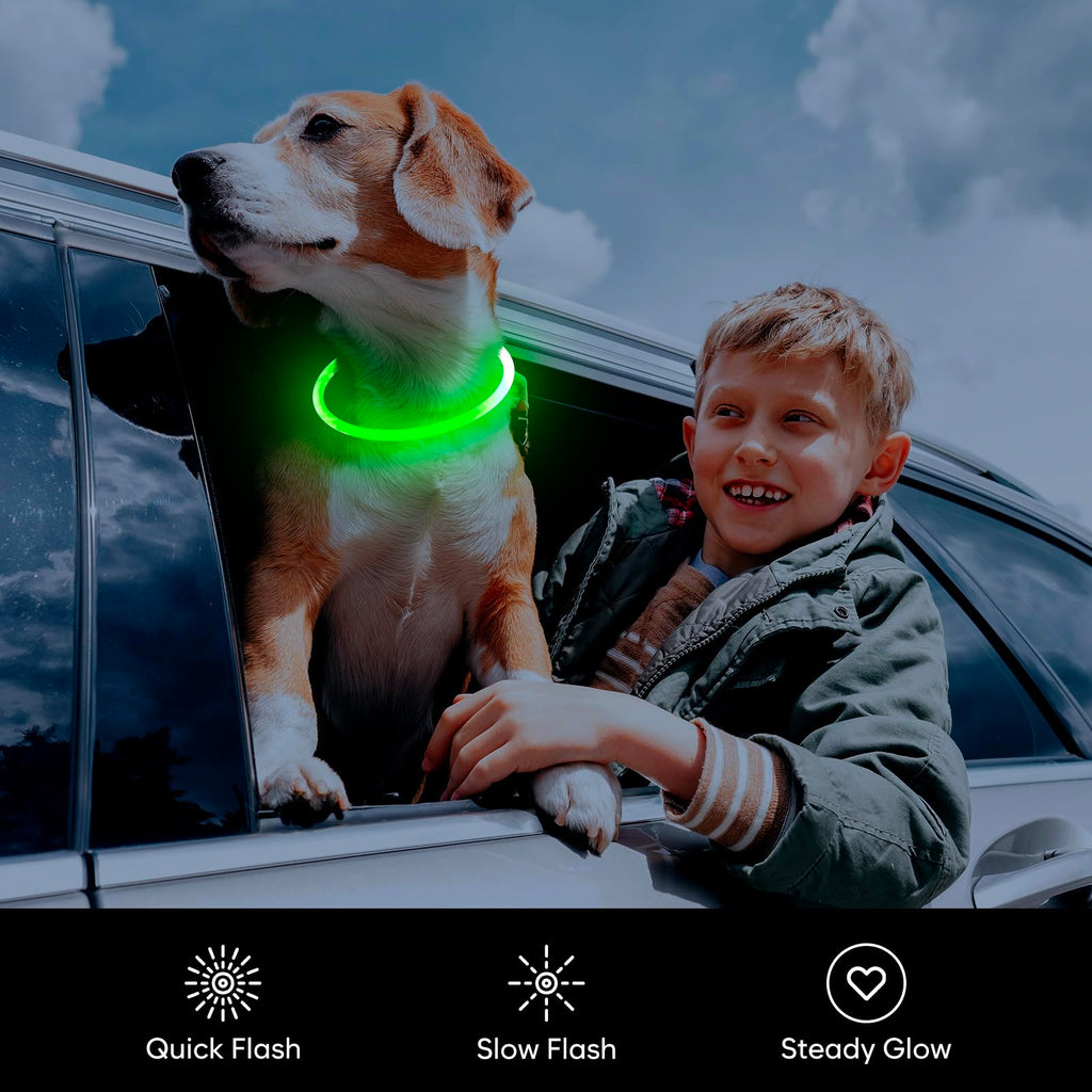 LED Dog Collar USB Rechargeable Green T93204