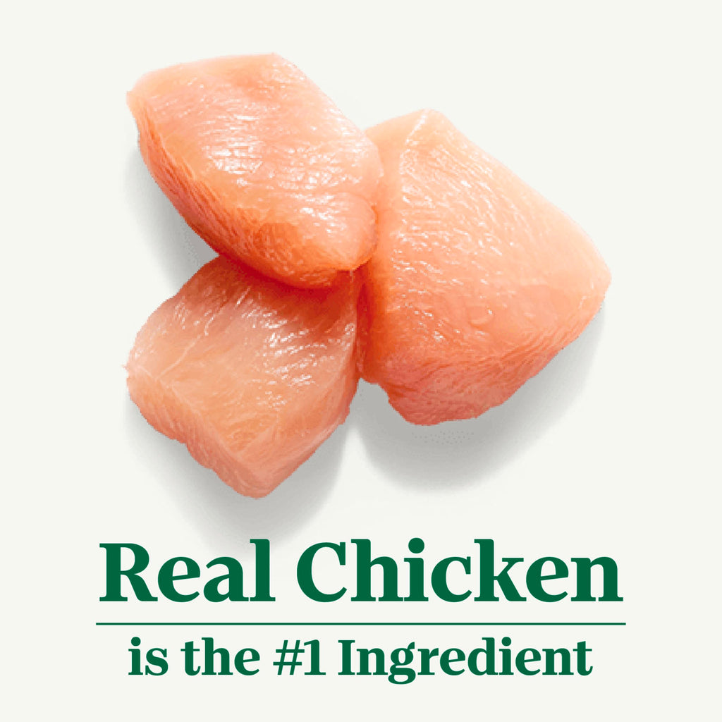 Indoor Adult Dry Cat Food Chicken & Rice 3 lb I71158