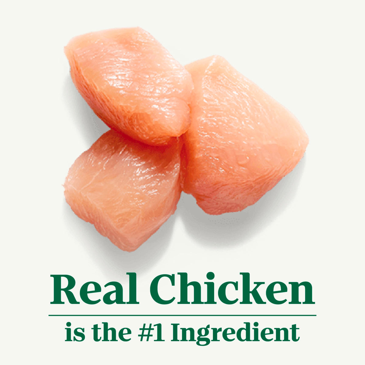 Indoor Adult Dry Cat Food Chicken & Rice 3 lb I71158