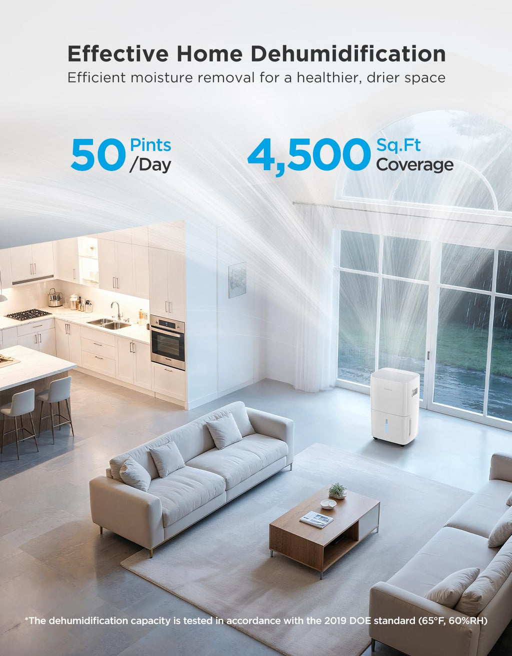 Dehumidifier with Mini Air Purifier R4864