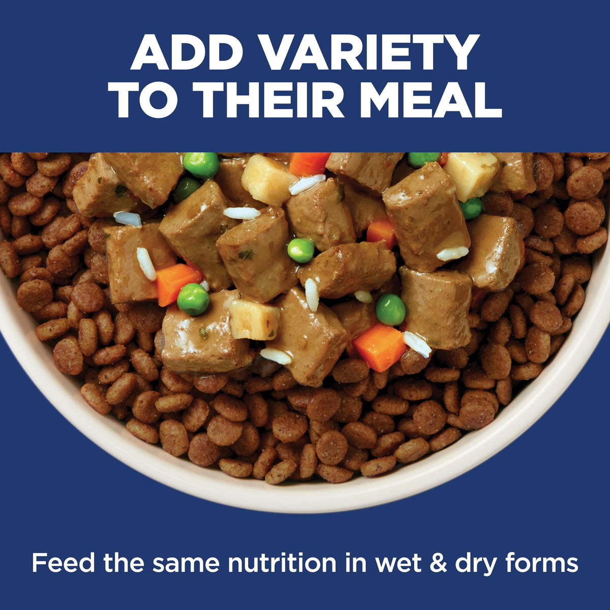 Sensitive Stomach & Skin Small & Mini Dry Dog Food D996