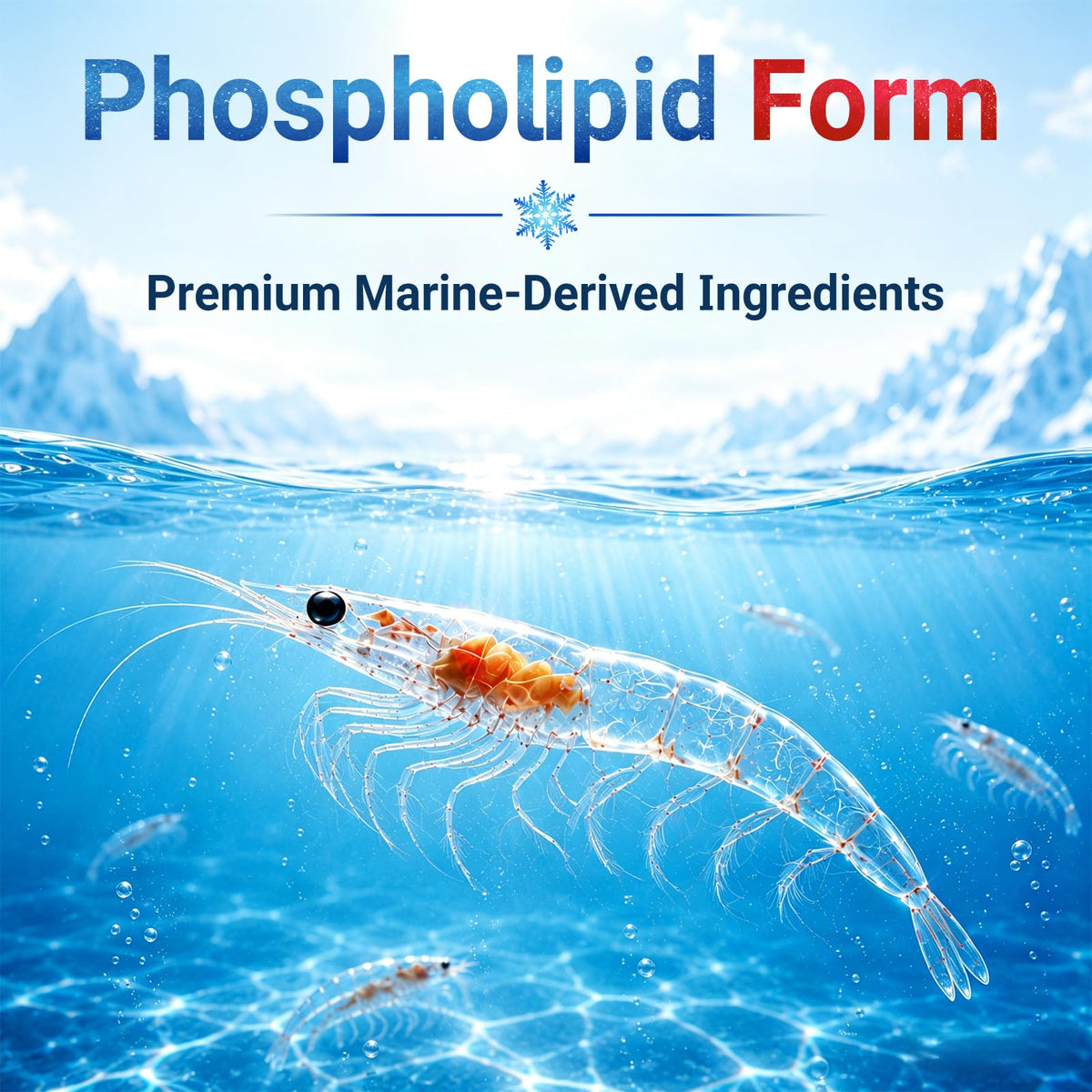 Krill Oil 2000mg Softgels, 120 ct F139598
