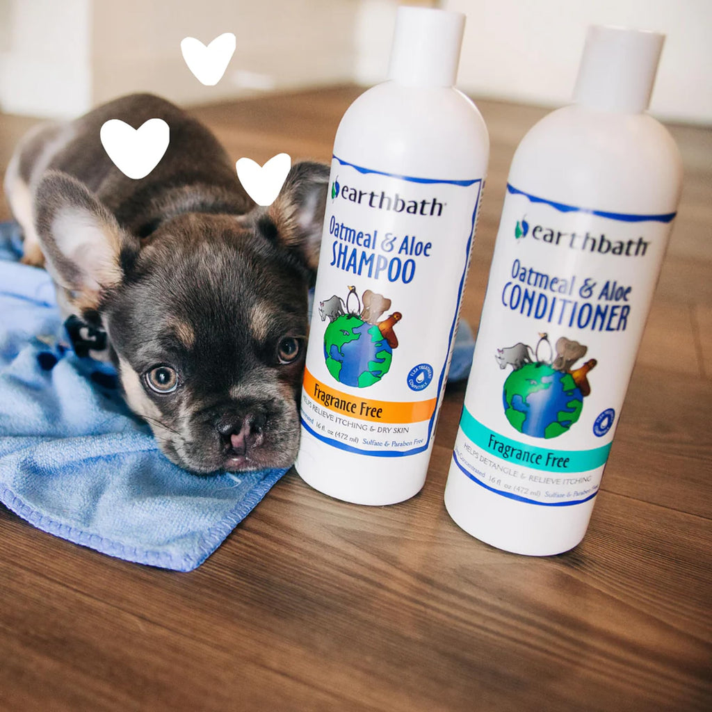Oatmeal & Aloe Dog Shampoo, 16 fl oz Y8138
