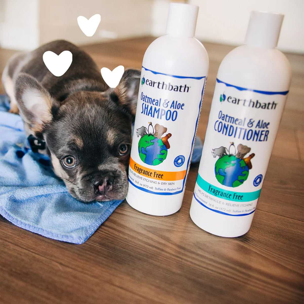 Oatmeal & Aloe Dog Shampoo, 16 fl oz Y8138