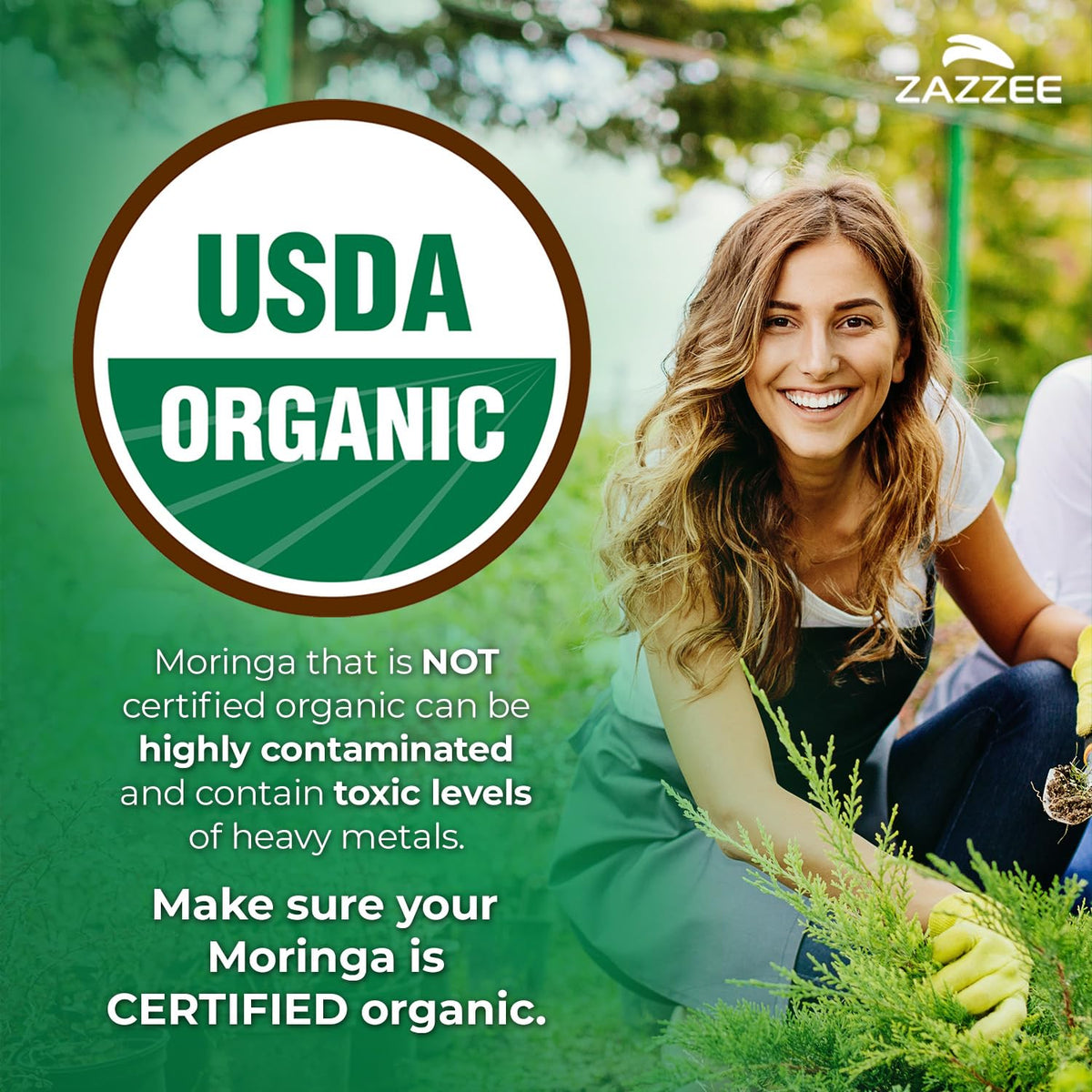 USDA Organic Moringa Leaf 20:1 Extract 120 Vegan Capsules Y4513