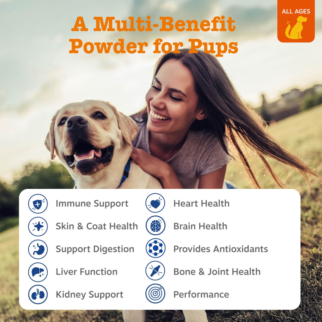 Dog Multivitamin Powder 30 Ct H73124
