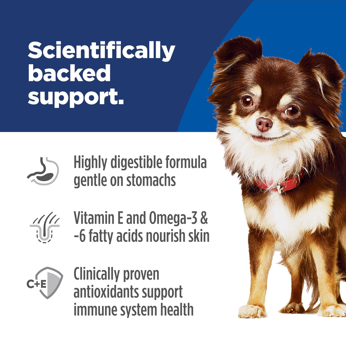 Sensitive Stomach & Skin Small & Mini Dry Dog Food D996