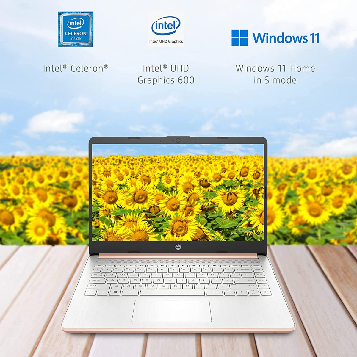 14'' HD Laptop Intel Celeron 4GB 64GB eMMC Pink Gold S60630