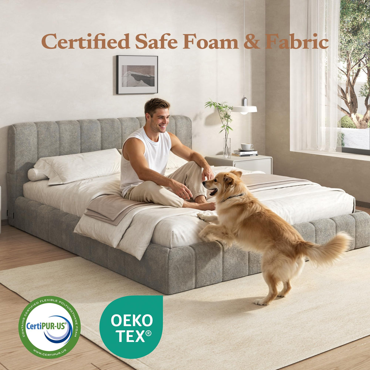 Queen Cloud Bed Frame D18206