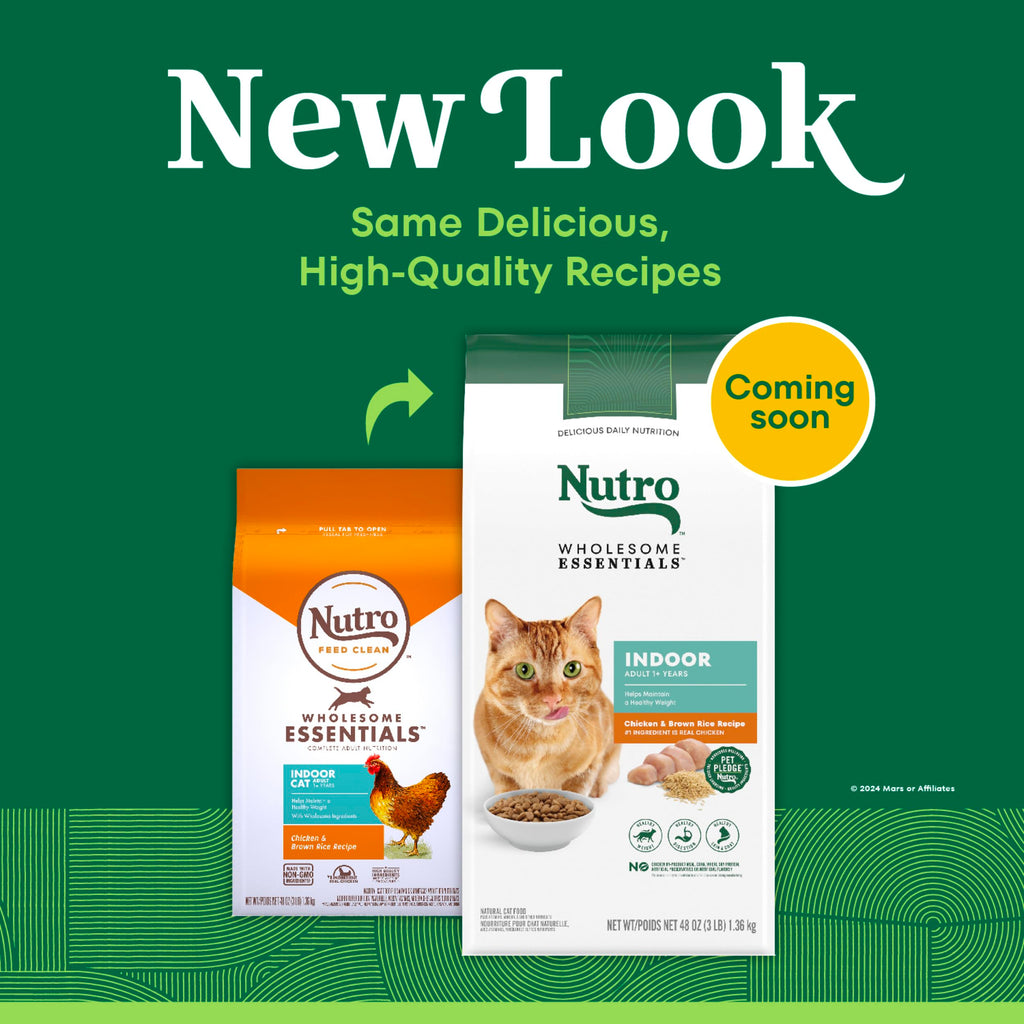 Indoor Adult Dry Cat Food Chicken & Rice 3 lb I71158