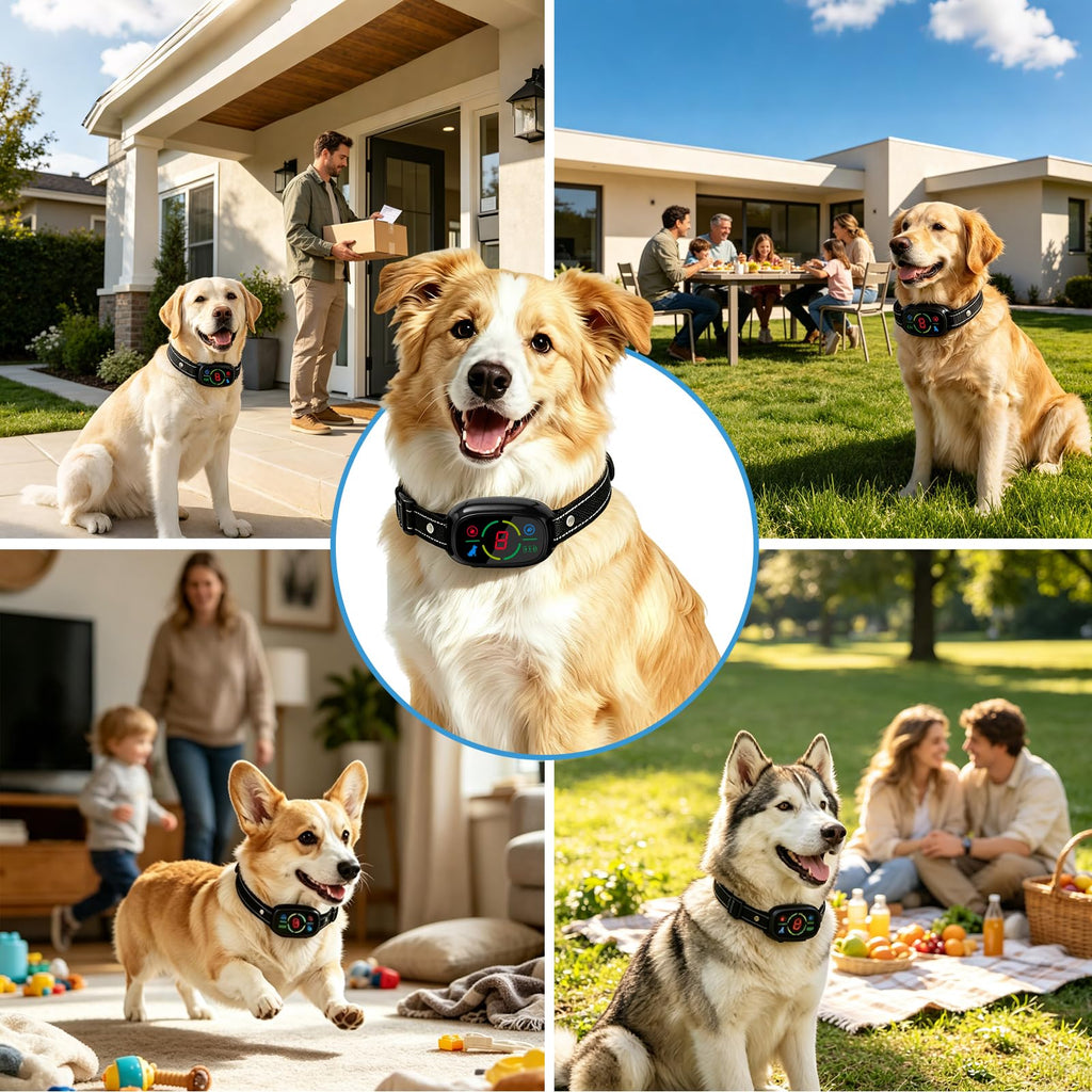 Rechargeable Dog Bark Collar with 3 Beep & Vibration Modes Z554