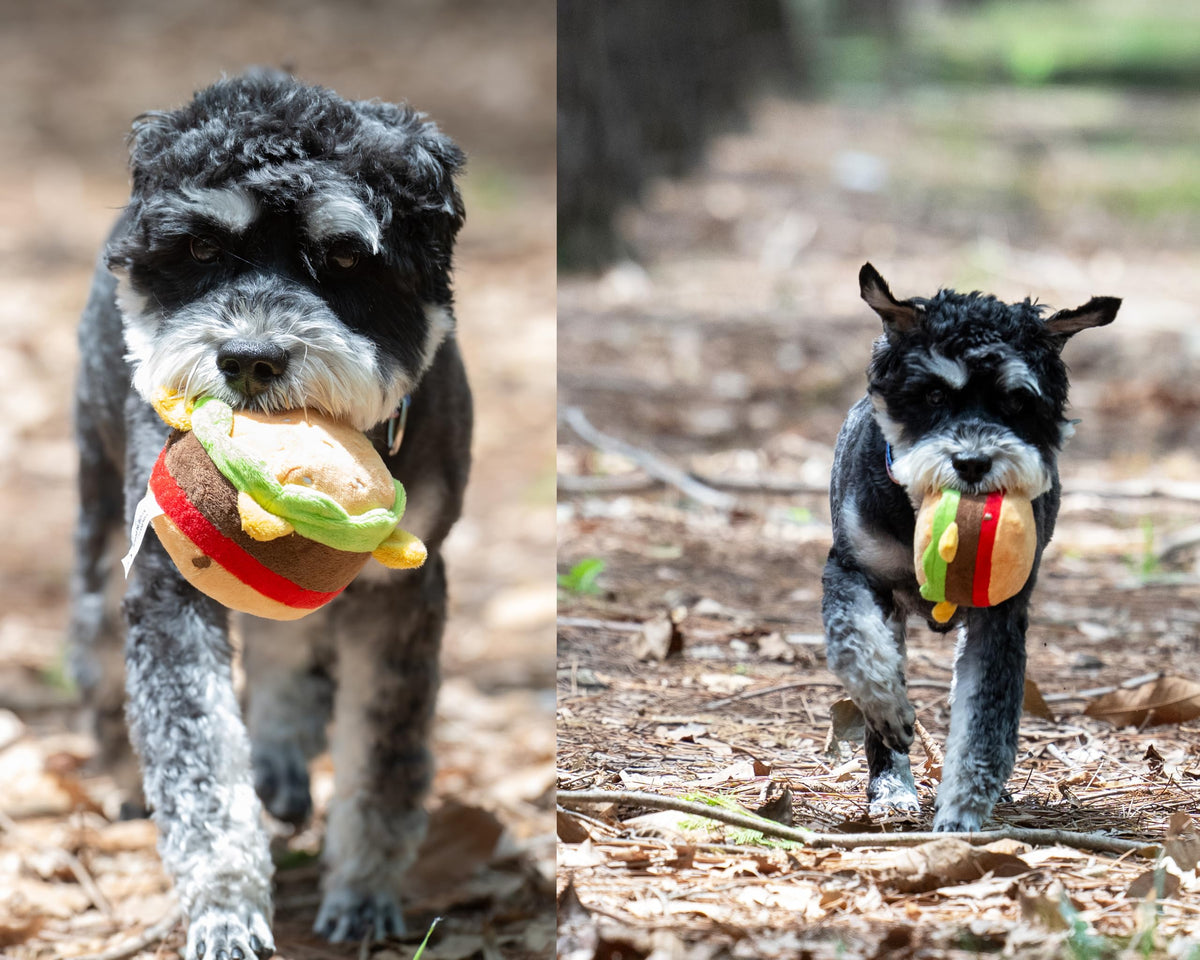 Plush Food Shaped Dog Toy with Squeaker T369904